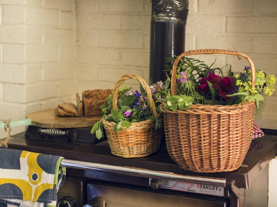 Clonalis House - Guesthouse Castlerea 외부 사진