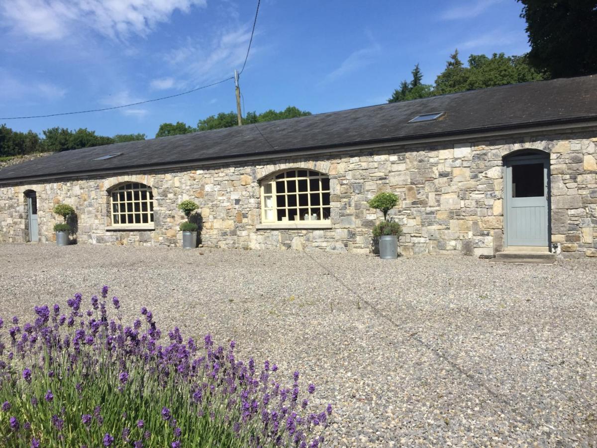 Clonalis House - Guesthouse Castlerea 외부 사진