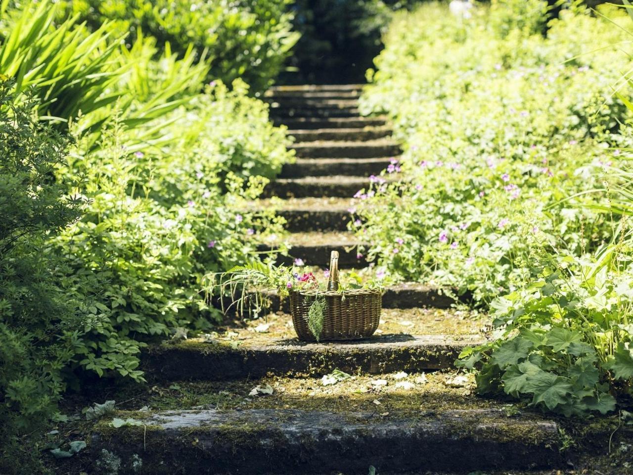Clonalis House - Guesthouse Castlerea 외부 사진